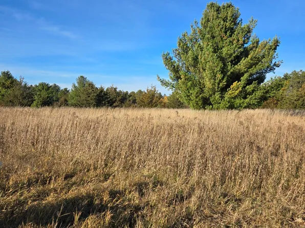 Lots F G Hoffman Beach Dr, Hillman, MN 56338