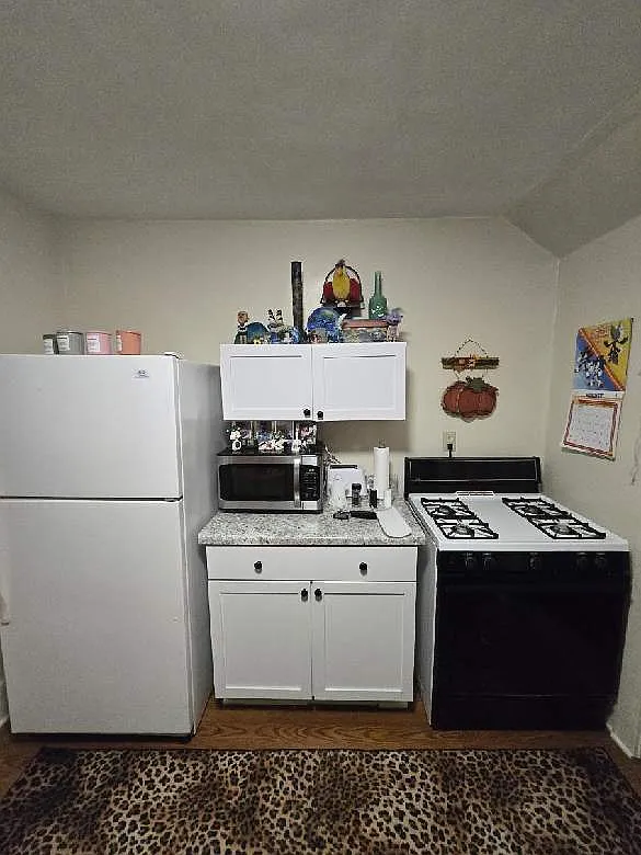 1 bed, $800 — Photo 2