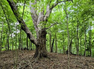 0 Highway 184 Lot Wp001, Ghent, KY 41045