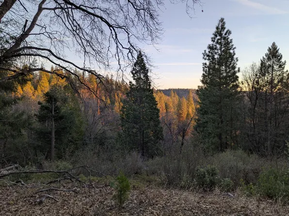 3000 Moody Ridge Rd, Gold Run, CA 95717
