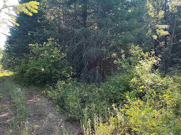 4th image of 641 Overlook Dr