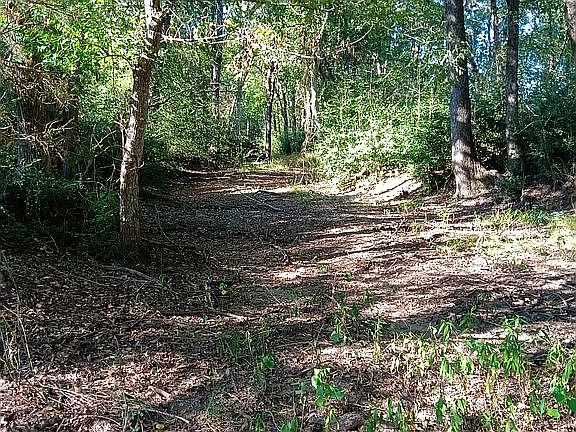 Creek towards other 5 acres 