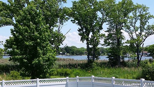 View of Cox Creek from Deck