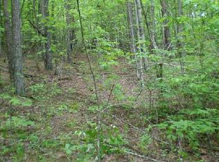 Piney Acres Rd, Blue Ridge, GA 30513