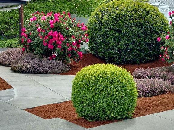 Sidewalks, landscaping and patio area 