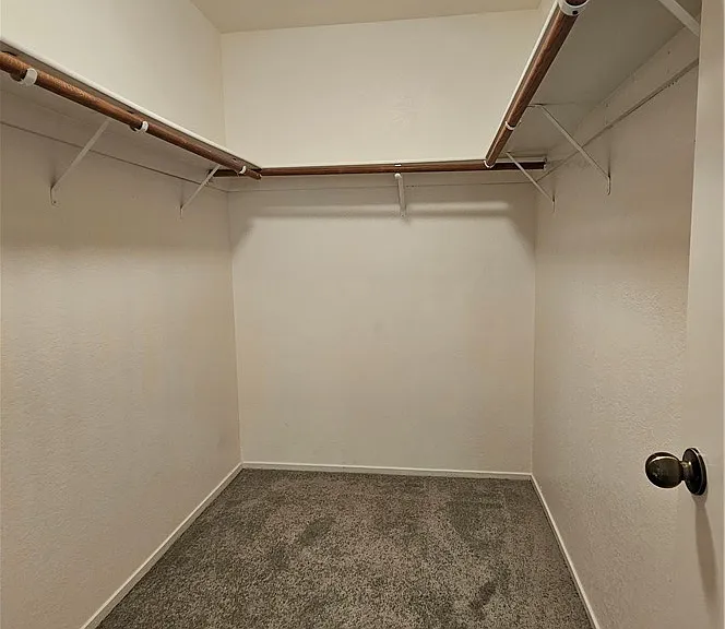 3981 Delos Dr #0 — Photo 37