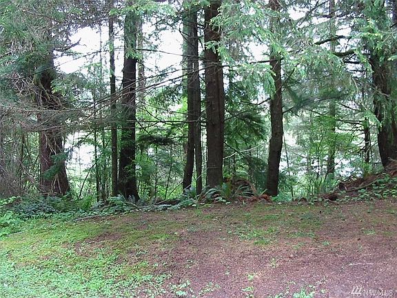 2nd image of 150 Lynn Point Ln