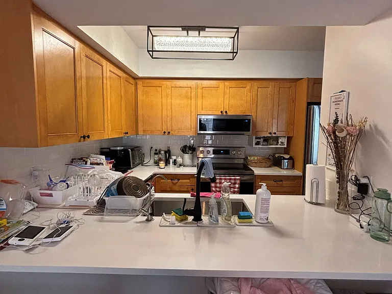60 Barondale Dr #248 — Photo 13