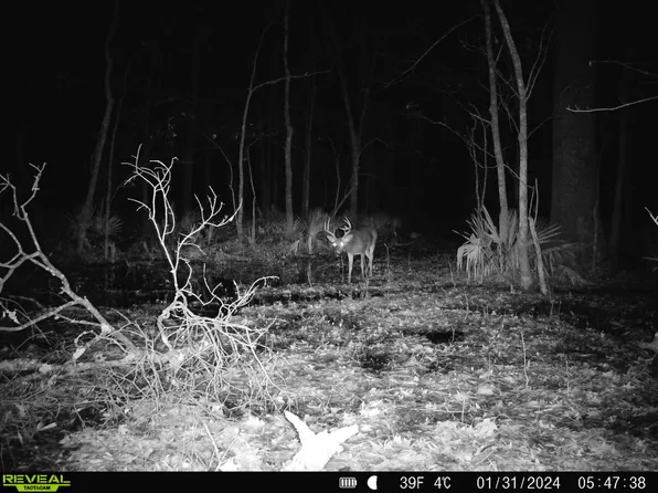 Woolfolk Deadening Rd, Yazoo City, MS 39194