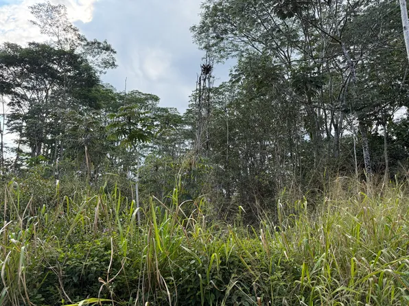 Sandalwood Ct Lot 22, Kurtistown, HI 96760