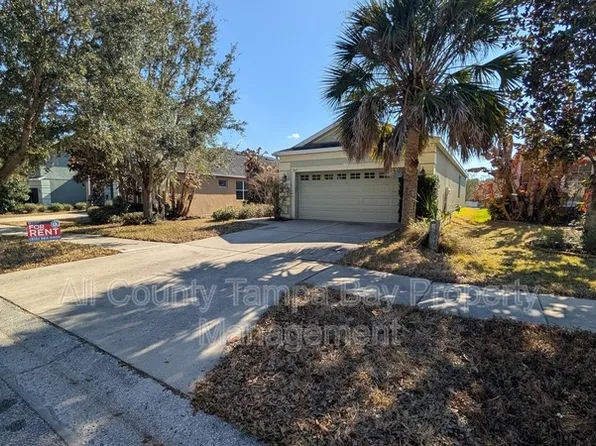 17449 New Cross Cir, Lithia, FL 33547