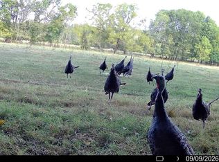 Tbd High Drive, Hartville, MO 65667