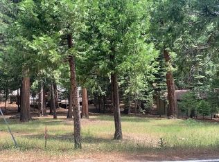 26995 Silver Dr, Pioneer, CA 95666