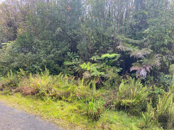Road 4 Lot 170, Volcano, HI 96785