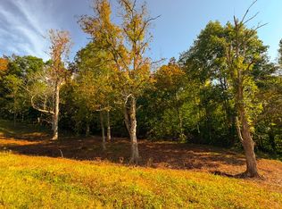 1234 Little Bullskin Rd, Patriot, OH 45658