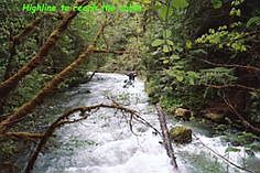 Sequim Zip lines on the river
