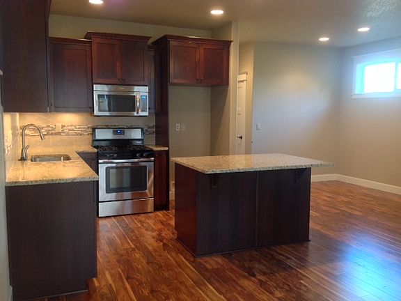 SS Gas Stove & Microwave