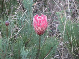 Tiki Ln LOT 19, Ocean View, HI 96737