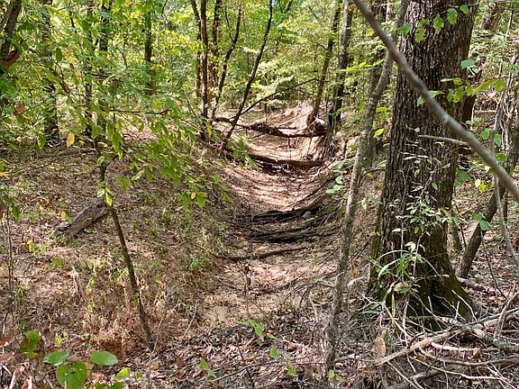 2nd image of County Road 2615