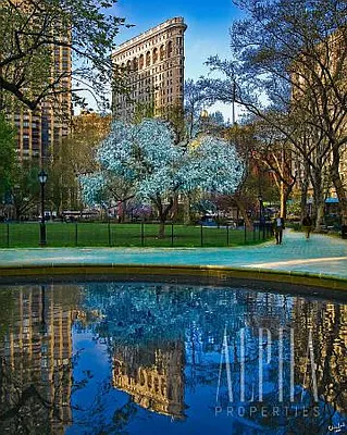 Rented by Alpha Properties NYC I LLC | media 26