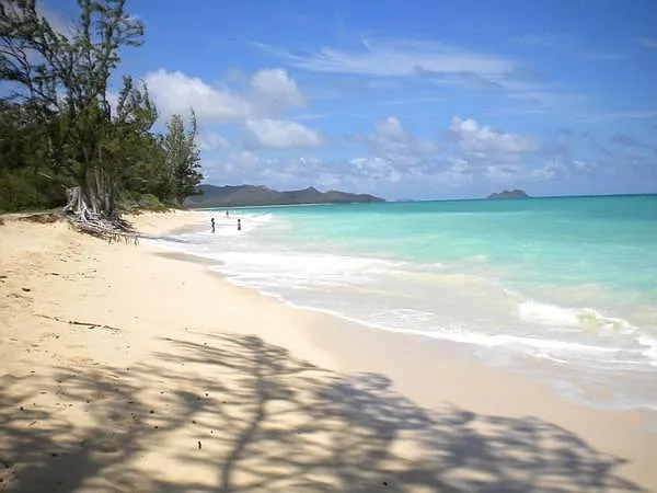 Voted Best Beach in America (years past). 10 minutes away!