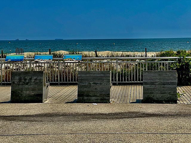 1st image of 353 Beach 47 St