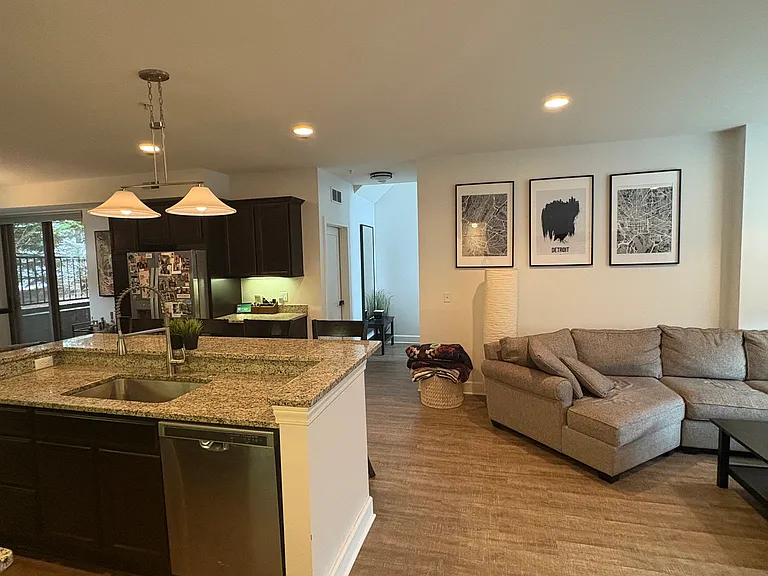 Living Room/Kitchen/Entry