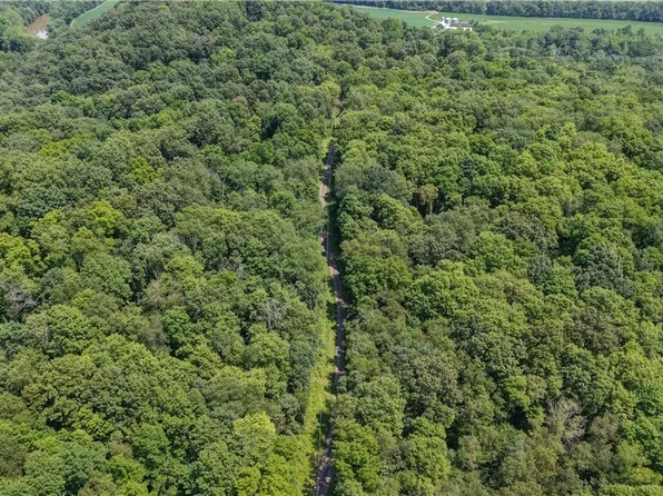 Hunter Rd, Danville, OH 43014