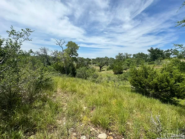 134 W Eli Chandler LOT 1338, Blanco, TX 78606