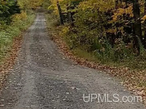 Walts Rd, Iron Mountain, MI 49801