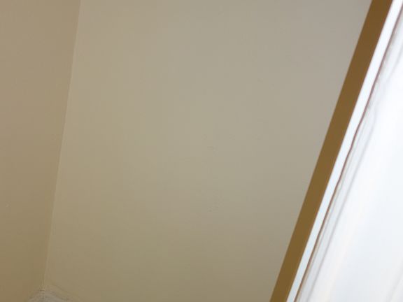 5th image of 2564 Creston Ave APT 5E