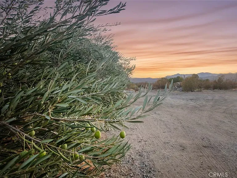 50785 Twentynine Palms Hwy — Photo 44