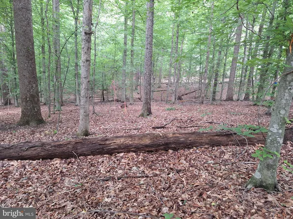 0 Albano Rd, Barboursville, VA 22923