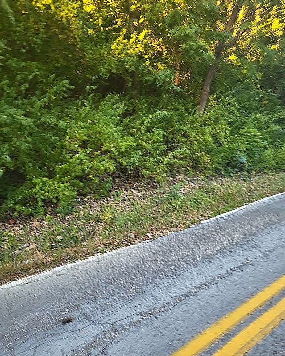 2nd image of 4550 Hillside Ave