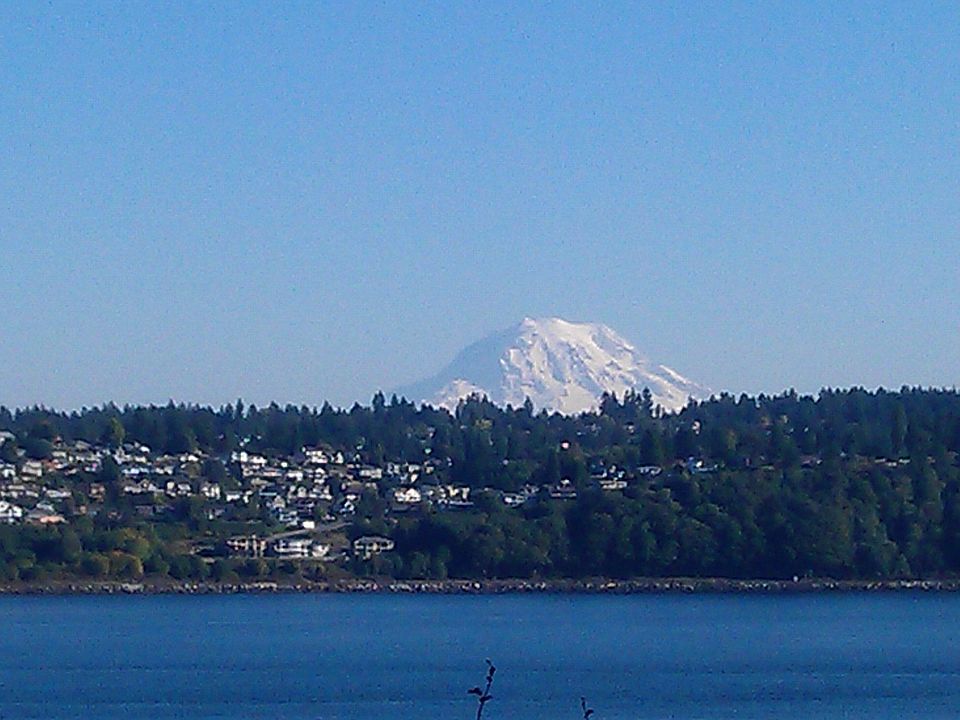 Mt. Rainier View directly across from home.