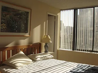 Rented by Adriana Arciello, LREB