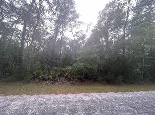 NE 247th Ln, Fort Mc Coy, FL 32134