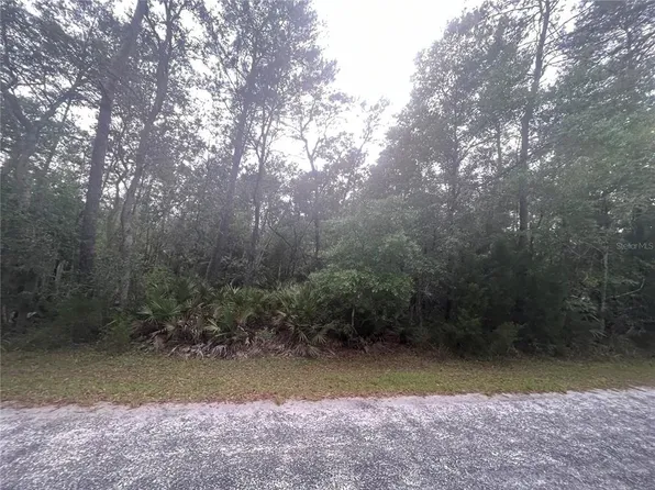 NE 247th Ln, Fort Mc Coy, FL 32134