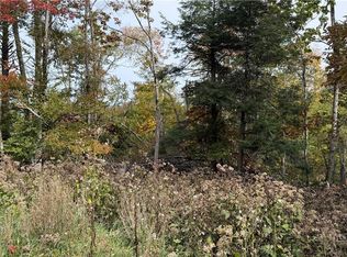 111 Foxgrape Hollow Rd, Banner Elk, NC 28604