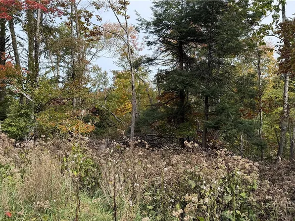 111 Foxgrape Hollow Road, Beech Mountain, NC 28604