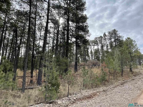 37 Carson Dr, Timberon, NM 88350