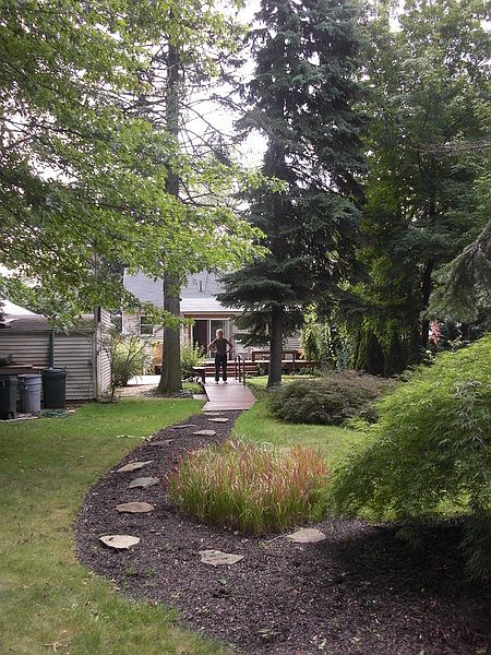 View From back yard to house.