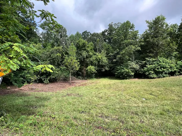 LOT 5 Clemon Rd, Bulls Gap, TN 37711
