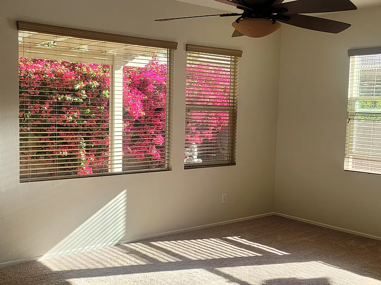 82722 Matthau Dr — Photo 15