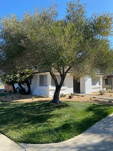 416 Mills Way Photo 1
