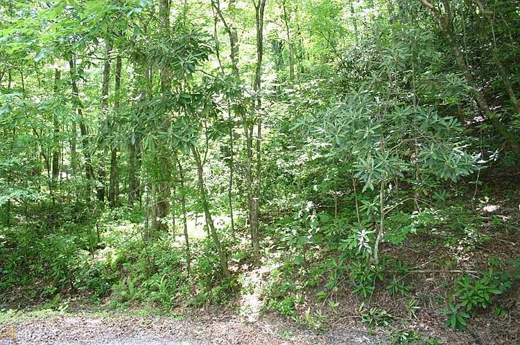 2nd image of 0 Miners Mountain Rd Lot 0