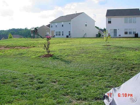 Backyard looking left