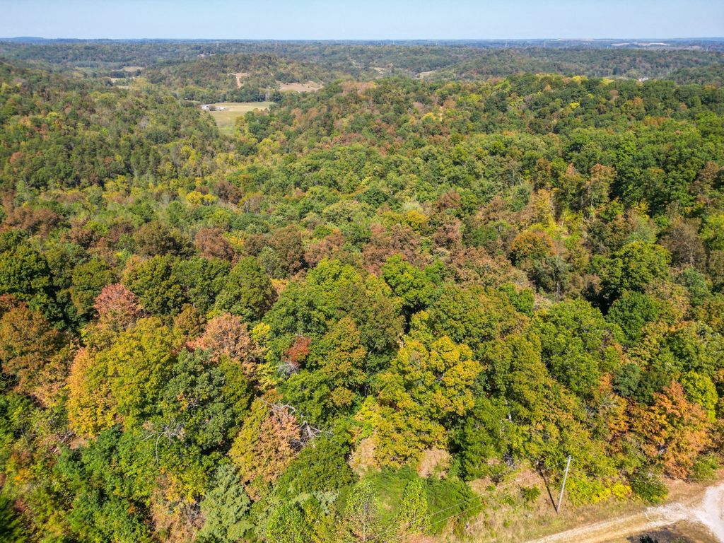 Real estate listing image