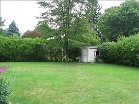 Storgae shed. Privacy hedges 