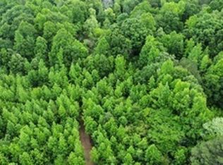 0 Wildlife Lake Rd, Summerville, GA 30747